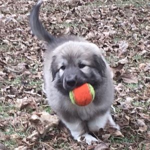 Meet your Posher, Beth